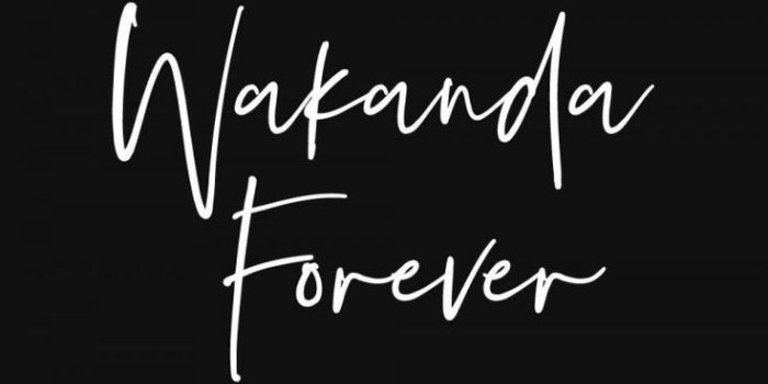 736x1202 black panther, wakanda, wallpaper and black - image #6702471 on Favim.com