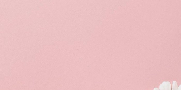 736x1308 nancy on Wallpapers | Pink wallpaper iphone, Wallpaper iphone cute,  Flower wallpaper