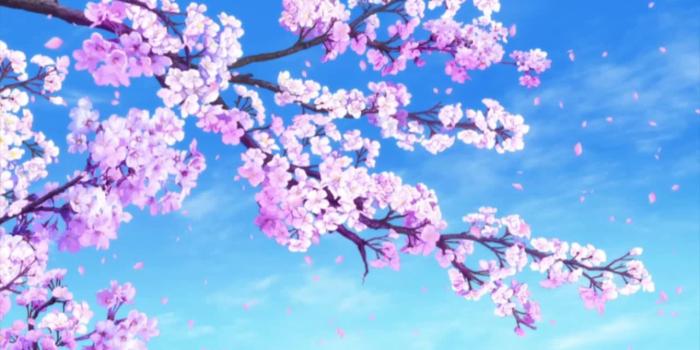 1280x720 Falling Sakura - Wallpaper Engine