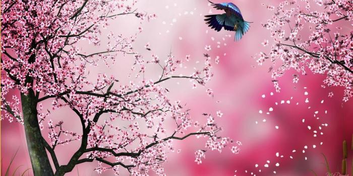 1366x768 Best 58+ Sakura Wallpaper on HipWallpaper | Sakura Wallpaper, Naruto Sakura  Wallpaper and Sakura Sasuke Wallpaper