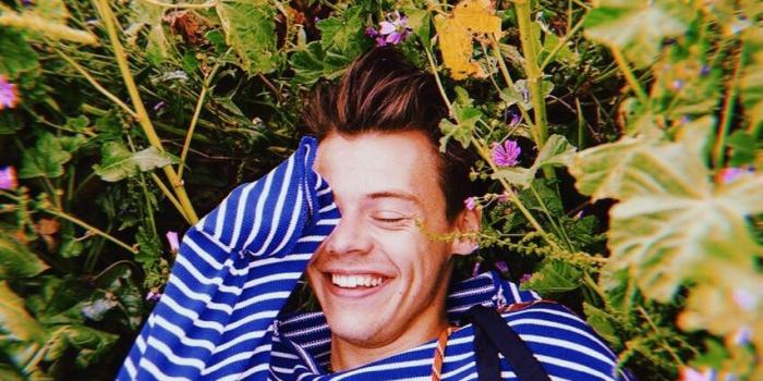 854x1280 one direction, dunkirk, harry styles wallpaper and wallpapers - image  #7148133 on Favim.com