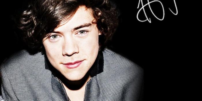 1024x768 Harry Styles Wallpaper - KoLPaPer - Awesome Free HD Wallpapers