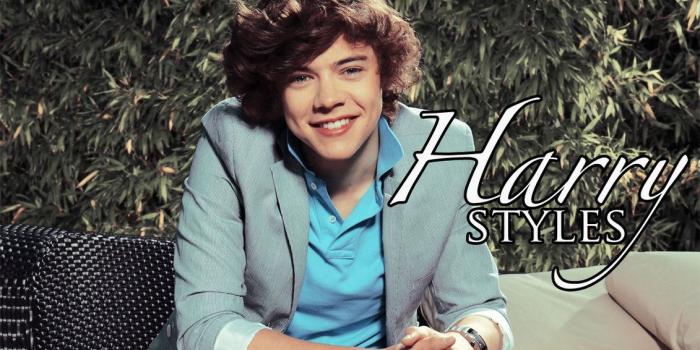 1131x707 Harry styles wallpaper - SF Wallpaper