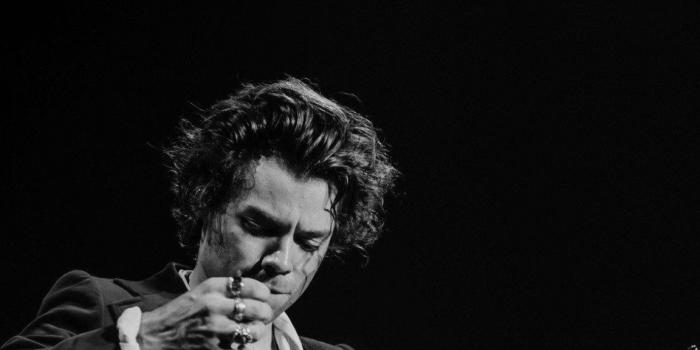 1152x2048 Raquel Pierson on harry styles | Harry styles wallpaper, Harry styles  lockscreen, Harry styles pictures