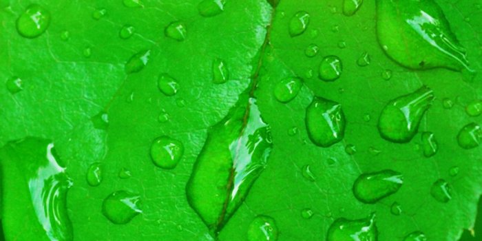 1080x1920 Images, Wallpapers of Leave in HD Quality: B.SCB WP&BG Collection