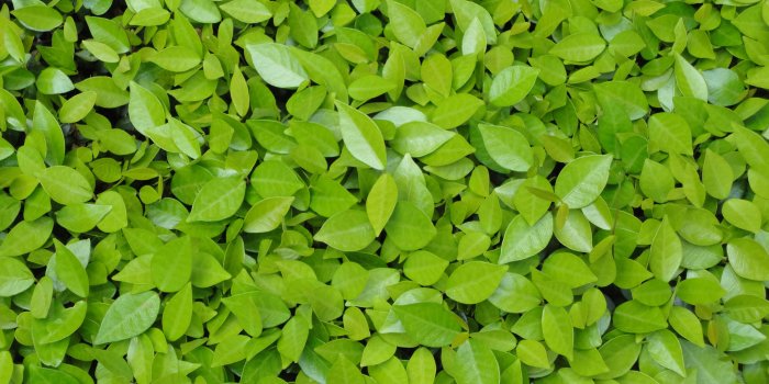 4320x2432 Best 33+ Leave Wallpaper on HipWallpaper | Leave Me Alone Wallpaper,  Festive Autumn Leave Wallpaper and Leave It to Beaver Wallpaper