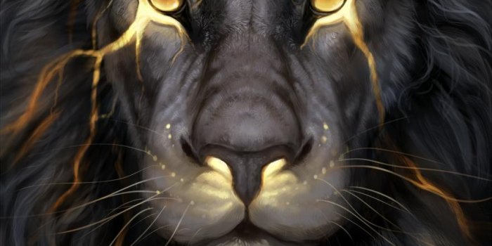 880x1280 King Lion Wallpapers [HD] for Android - APK Download
