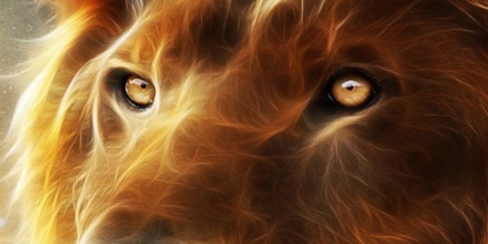 750x1334 Lion Wallpaper - KoLPaPer - Awesome Free HD Wallpapers