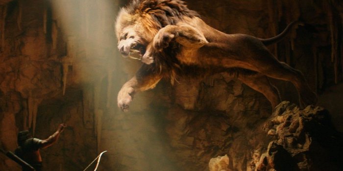 1366x768 Marvelous Lion Wallpapers Hd For Background HD Wallpaper In Animal Wallpaper