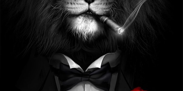1080x1920 Iphone High Resolution Lion Wallpaper Hd