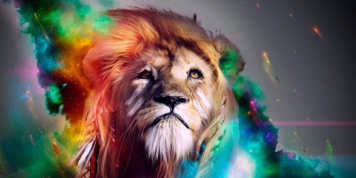 2560x1440 Trippy Lion Wallpapers - Top Free Trippy Lion Backgrounds - WallpaperAccess