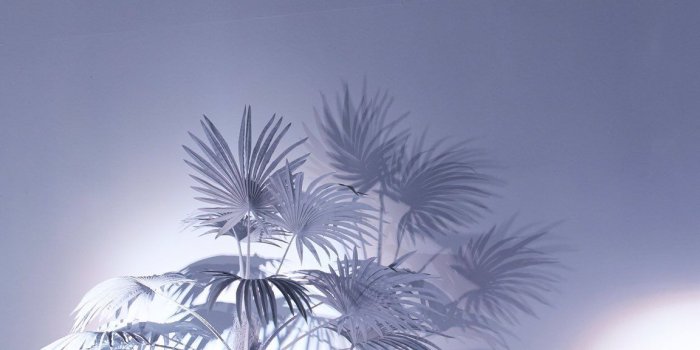 1152x2048 SEVENTEEN Tweeted These Special Pictures And They Became The Perfect Gift  For Carats | KissAsian