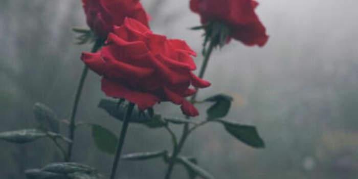 1024x1813 Thrasher Logo Wallpaper posted by Sarah Anderson