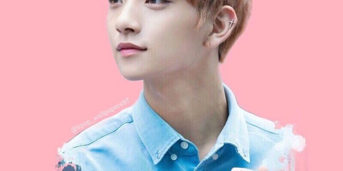 800x1422 Joshua Seventeen Wallpapers