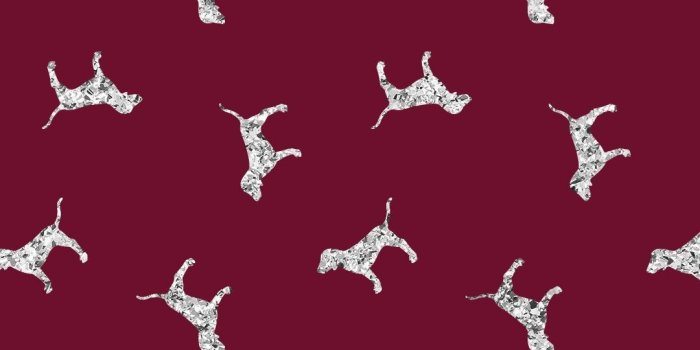 1080x1920 Silver dogs #pinknation | Pink wallpaper iphone, Pink wallpaper  backgrounds, Pink wallpaper iphone victoria secret