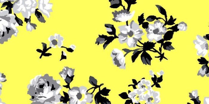 750x1333 Pink Nation Wallpapers posted by Zoey Mercado