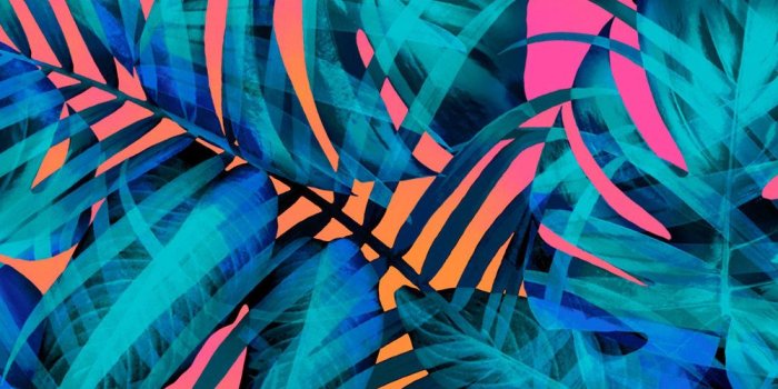 1000x1778 PINK NATION APP — LARA HOROWITZ