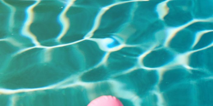 1000x1778 PINK NATION APP — LARA HOROWITZ