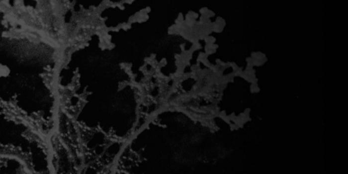 1919x888 PlayStation Wallpapers - PlayStation