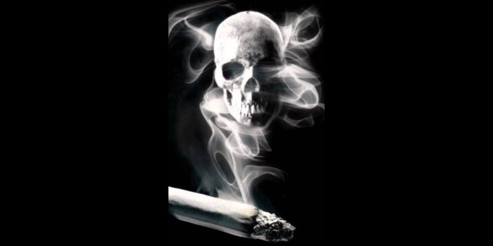 1280x720 Free download 3D Skull Live Wallpaper [1280x720] for your Desktop, Mobile &  Tablet | Explore 30+ Live Skeleton Wallpaper | Live Skeleton Wallpaper, Skeleton  Wallpaper, Skeleton Wallpapers