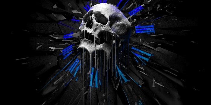 1600x1000 46+] 3D Skeleton Wallpaper on WallpaperSafari