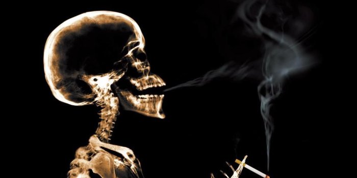 1024x768 15 skeleton wallpapers 942 :: Skeleton Playing Poker Wallpaper