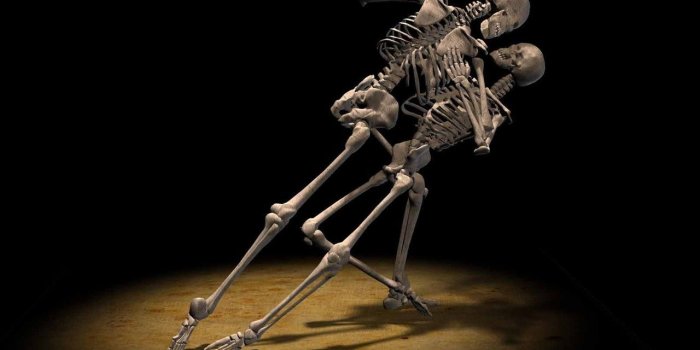 1280x900 Skeleton Wallpapers Desktop Background