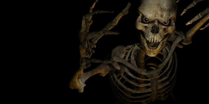 1024x768 Skeleton 4K wallpapers for your desktop or mobile screen free and easy to  download