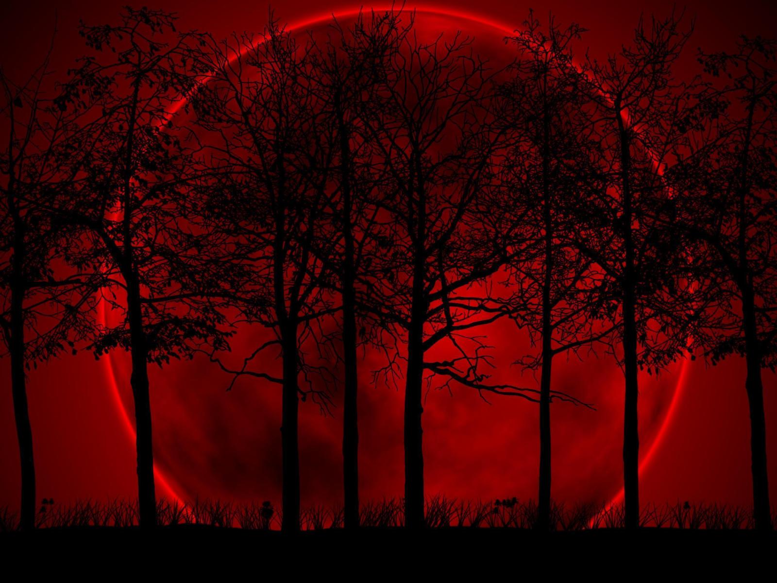 2560x1920 Red Nature Wallpapers