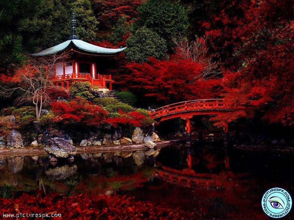 1024x768 Beautiful Red Nature Wallpaper