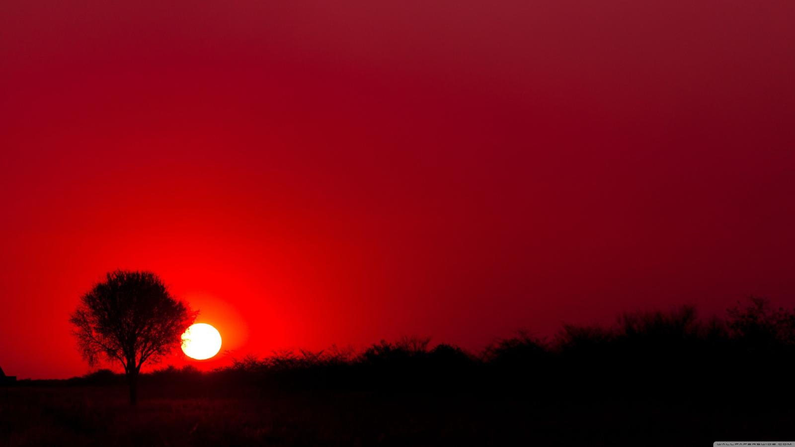 3840x2160 Download Red Apple Logo Wallpapers For Your Desktop - Red Nature Wallpaper  Hd, Download Wallpapers on Jakpost.travel