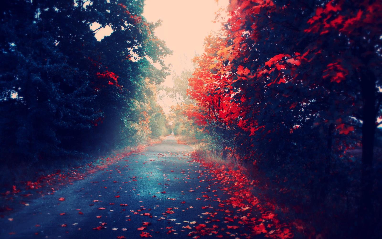 2560x1600 Red Nature Wallpaper (68+ pictures)
