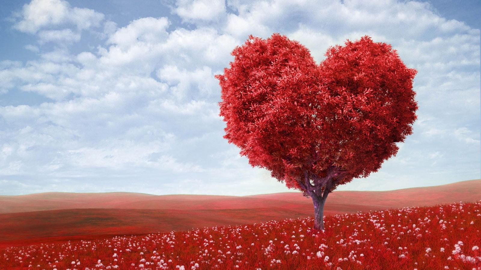 1920x1080 Red Tree Love Natural Wallpaper Hd Desktop Mobile 75634 : Wallpapers13.com