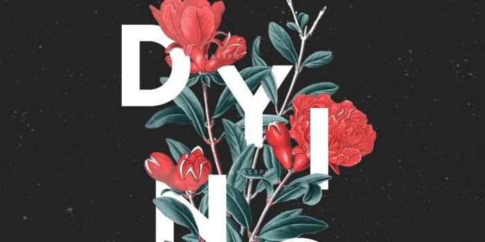 1000x1778 Emo Bands Wallpapers posted by Zoey Thompson