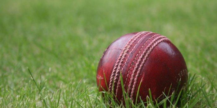 1600x1067 Best 29+ Cricket Wallpaper on HipWallpaper | Cricket Bat Wallpapers, Indian  Cricket Team Wallpapers and Wallpaper Cricket Pinocchio