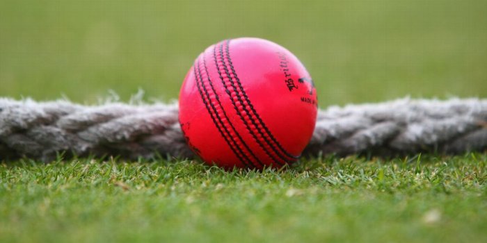 1244x700 Cricket Wallpapers