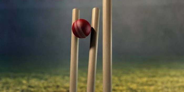 720x1280 Cricket wicket wallpaper by SonofAGod - 01 - Free on ZEDGE™