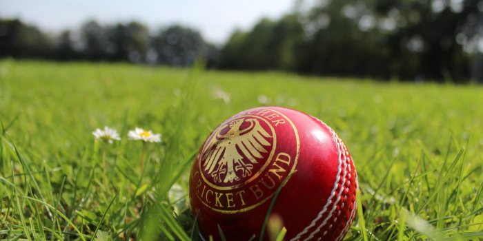 2048x1365 Cricket Images