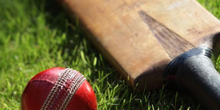 720x1280 Cricket Bat Wallpaper for Android - APK Download