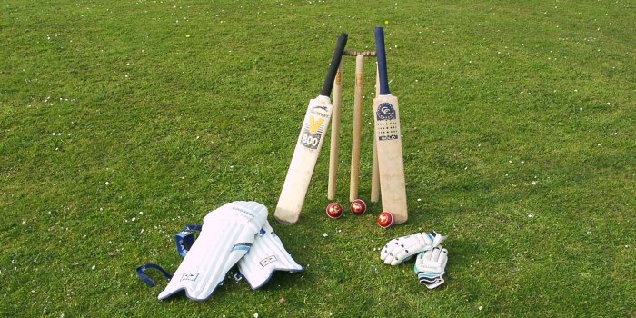 2048x1536 Cricket Wallpaper posted by Zoey Mercado