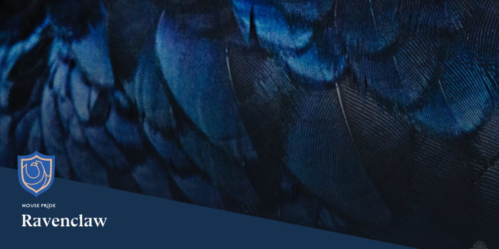 1920x1080 Try out our new Harry Potter themed video call backgrounds | Wizarding World