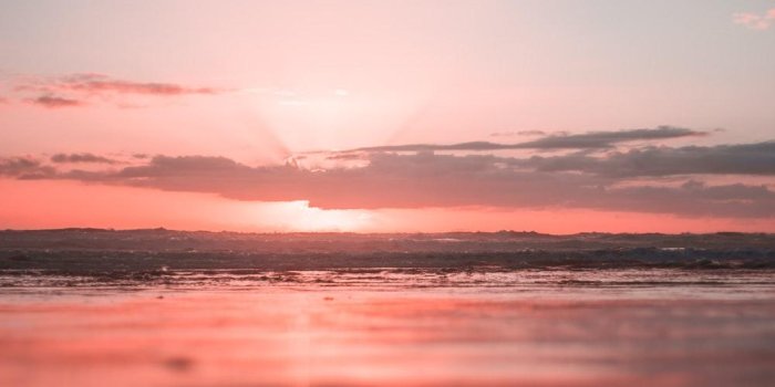 1000x1500 Pink Sunset Wallpapers