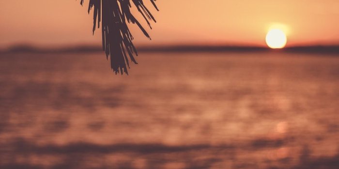 1000x1500 500+ Stunning Tropical Sunset Pictures [HD] | Download Free Images on  Unsplash