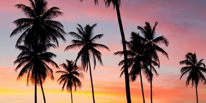 1080x1920 Sunset iPhone Wallpaper Design - 2020 Cute iPhone Wallpaper