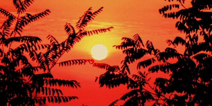 1893x4096 iPhone sunset canvas wallpapers