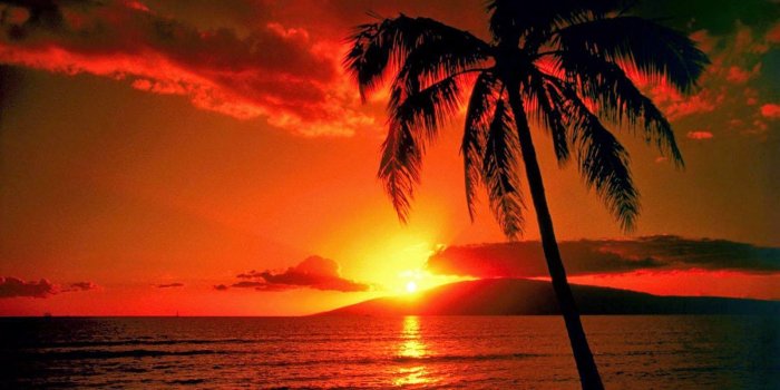 1600x1000 wallpapers: Sunset Wallpapers