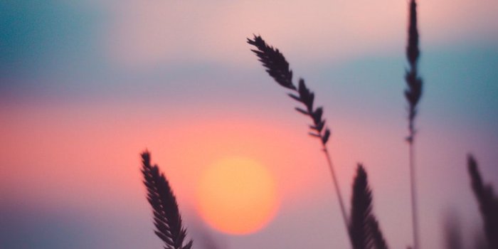 1000x1510 20+ Sunset Images [Stunning!] | Download Free Images on Unsplash