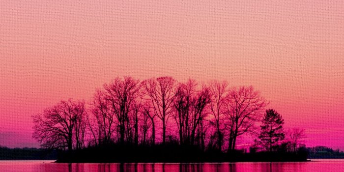 1893x4096 iPhone sunset canvas wallpapers