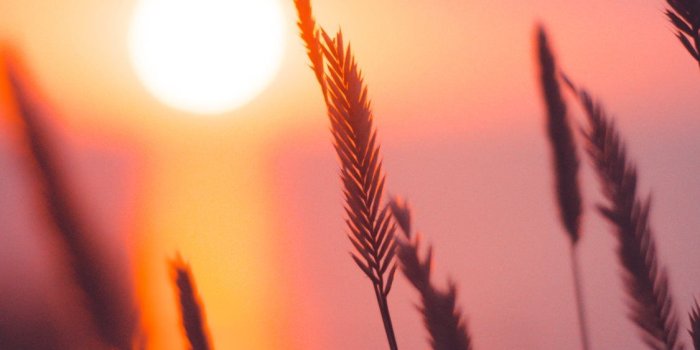 1125x2436 Sunset iPhone X Wallpapers Free Download