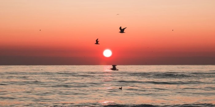 1000x1500 Sunset Wallpapers: Free HD Download [500+ HQ] | Unsplash